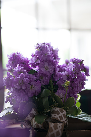 bhostphoto_061