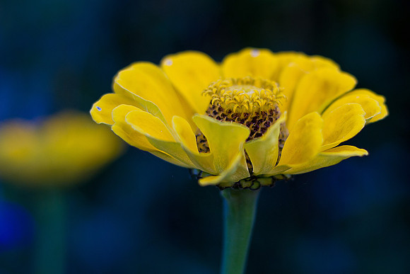 bhostphoto_053