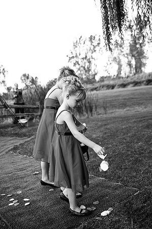 ccSolon_284_bw