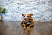 bhostphoto_002