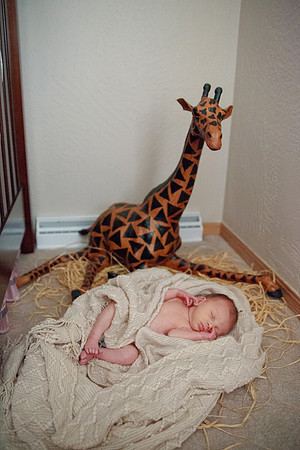 bhostphoto_026