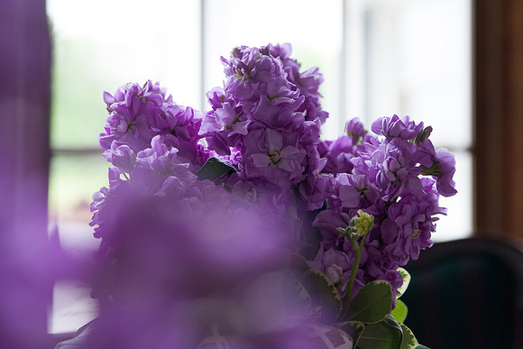 bhostphoto_060
