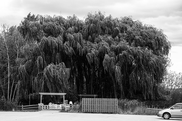 ccSolon_094_bw