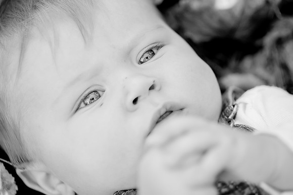 bhostphoto_046_bw