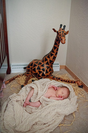 bhostphoto_025