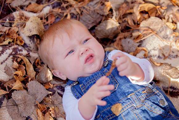 bhostphoto_044