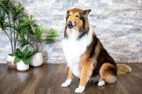 bhostphoto_039
