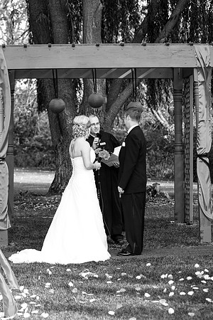 ccSolon_235_bw