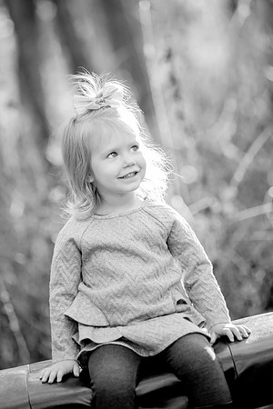 bhostphoto_252_bw