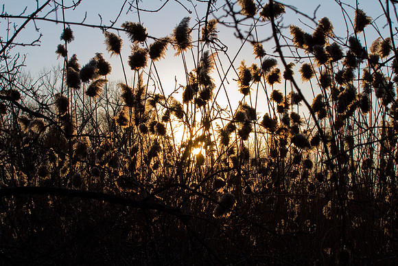 bhostphoto_145