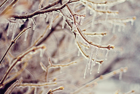 bhostphoto_070