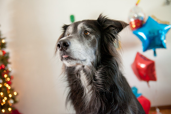bhostphoto_081
