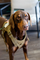 bhostphoto_089