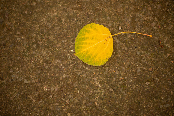 bhostphoto_011