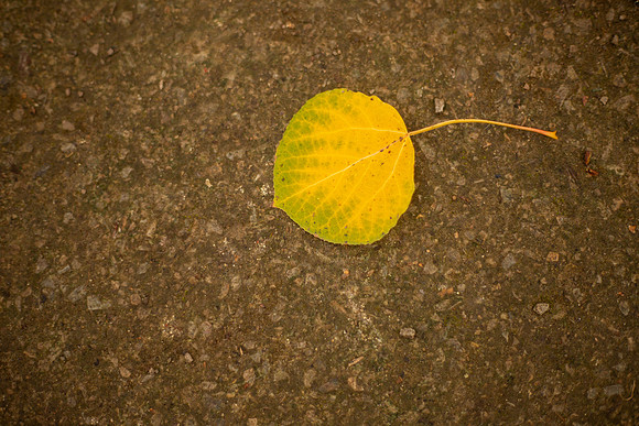 bhostphoto_012