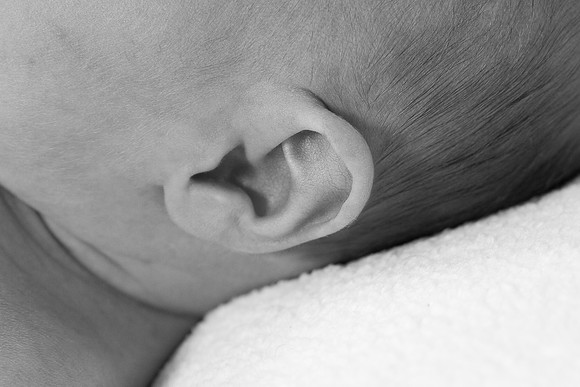 IMG_0627_bw