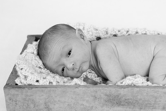 IMG_0611_bw