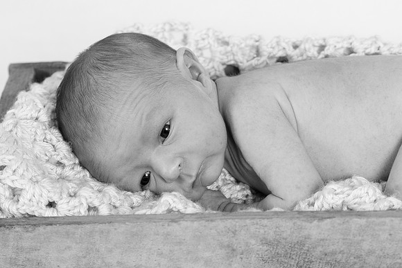 IMG_0610_bw