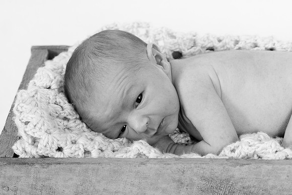 IMG_0609_bw
