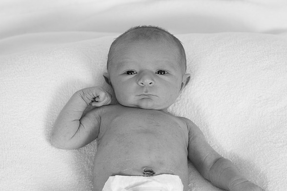 IMG_0623_bw