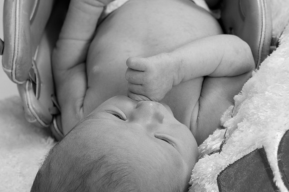 IMG_0642_bw
