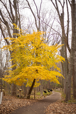 bhostphoto_083