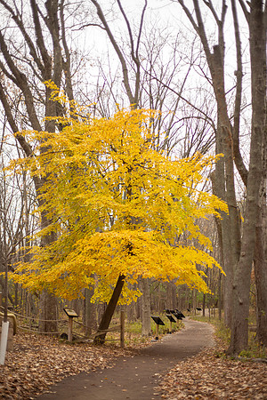 bhostphoto_084