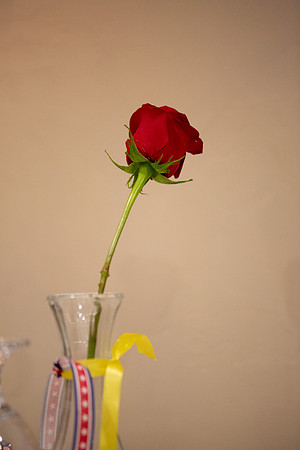 bhostphoto_137