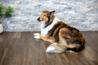 bhostphoto_038