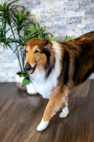 bhostphoto_036