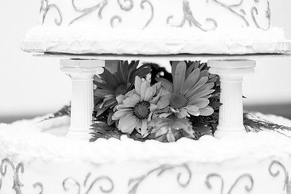 a_bhostphoto_258_bw