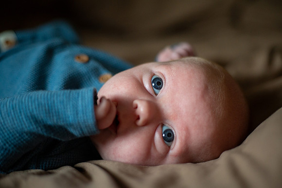 bhostphoto_032