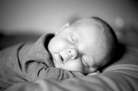 bhostphoto_008_bw