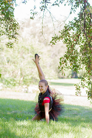 bhostphoto_270