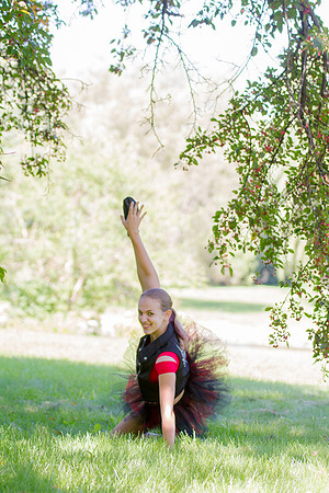 bhostphoto_271