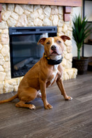 bhostphoto_018