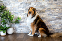 bhostphoto_033