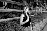 bhostphoto_006_bw