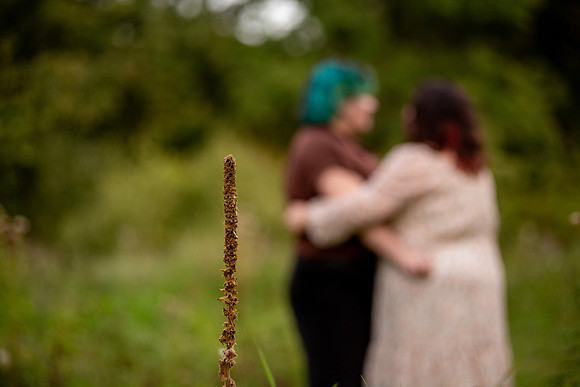 bhostphoto_161