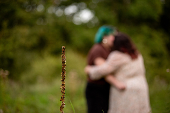 bhostphoto_162