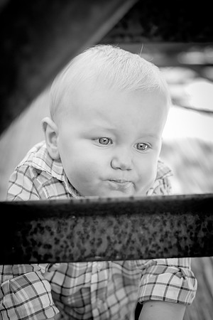 bhostphoto_329_bw
