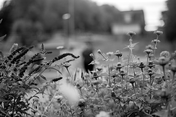 bhostphoto_193_bw