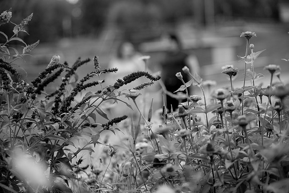 bhostphoto_195_bw