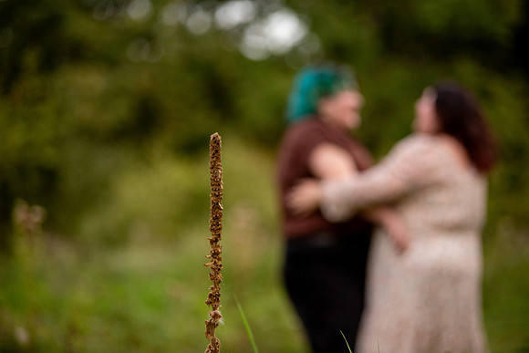 bhostphoto_163