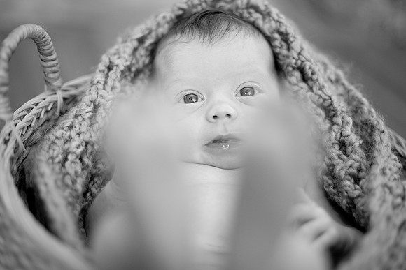 IMG_5582_bw