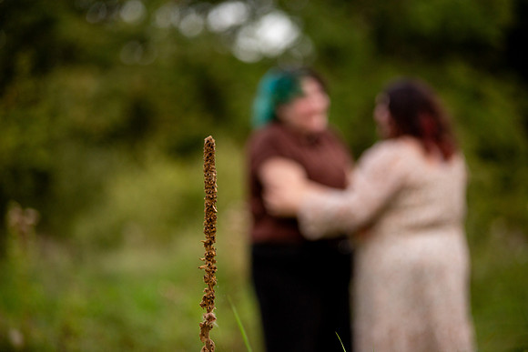 bhostphoto_164