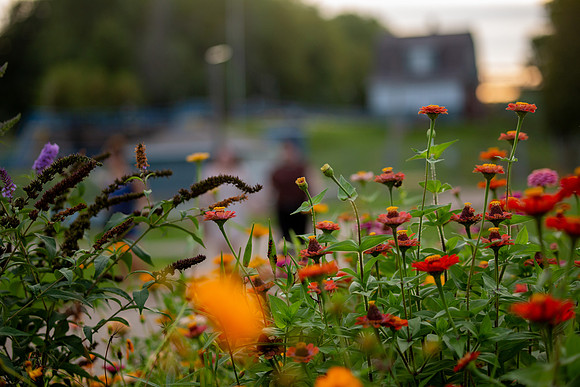 bhostphoto_193