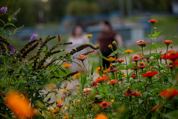 bhostphoto_195