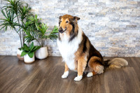 bhostphoto_045