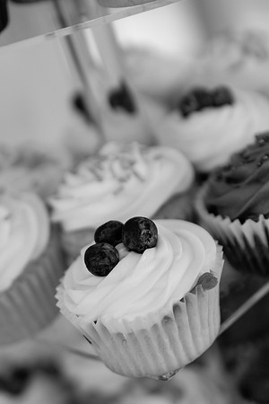 bhostphoto_088_bw